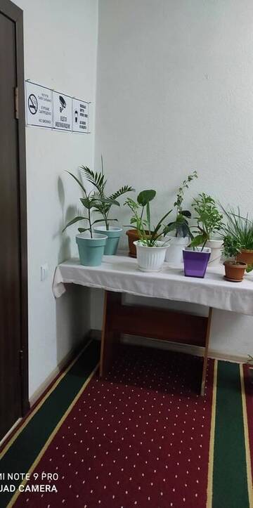 Фотографии Хостелы Hostel Sulaiman-Too г. Ош (Киргизия) №3 Фото Хостелы Hostel Sulaiman-Too г. Ош 3